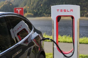Gdzie kupić wózki widłowe elektryczne w Warszawie